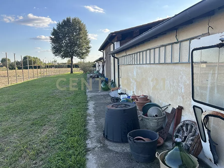 Immagine 49 di Rustico / casale in vendita  in Via Trento 70 a Minerbe