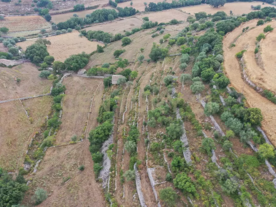 Immagine 31 di Rustico / casale in vendita  in SP104 a Modica