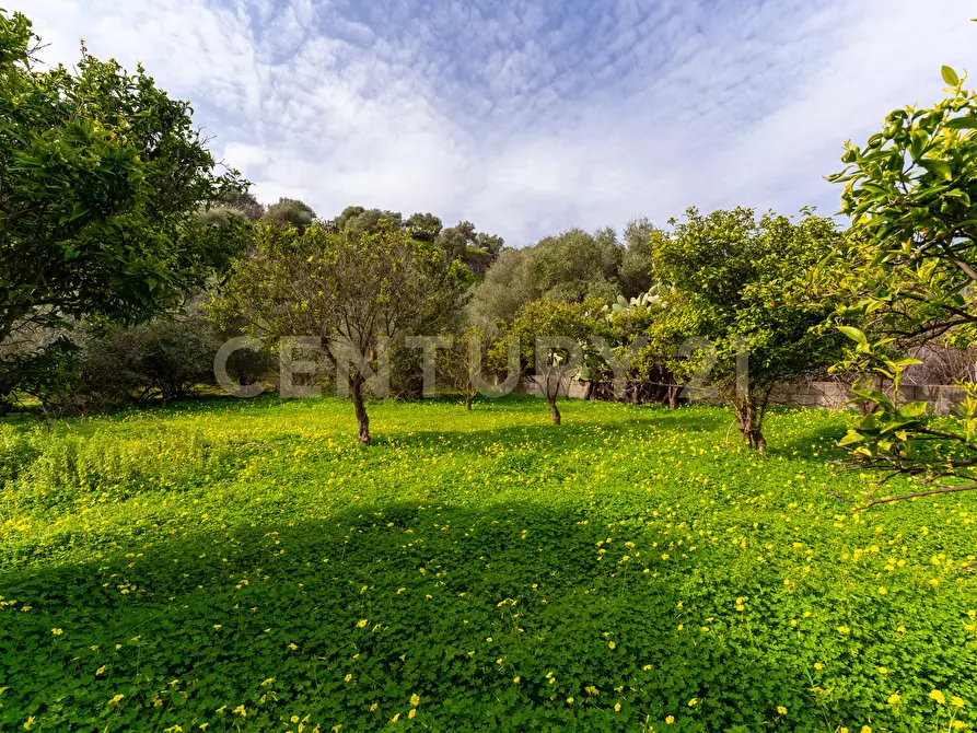 Immagine 8 di Terreno agricolo in vendita  in Contrada Vaccarizzo a Catania