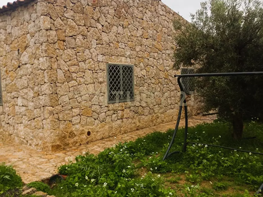 Immagine 21 di Terreno agricolo in vendita  in Contrada Masseria Grande SNC a Centuripe
