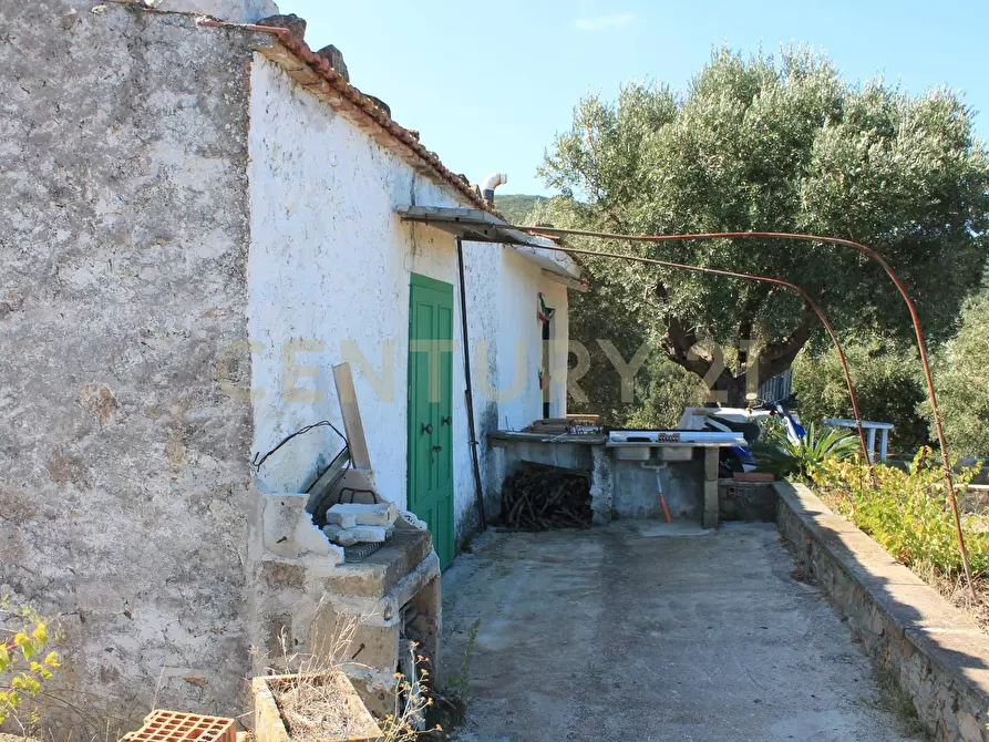 Immagine 4 di Rustico / casale in vendita  in via cannatelli 56 a Monte Argentario