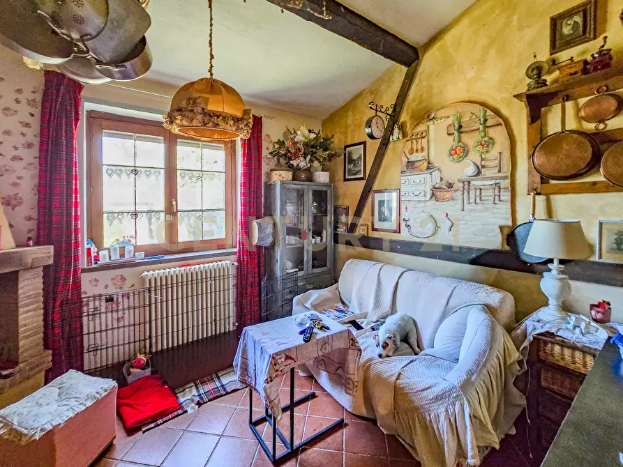 Immagine 9 di Porzione di casa in vendita  in Via Tribuno Tonini 1010 a Semproniano