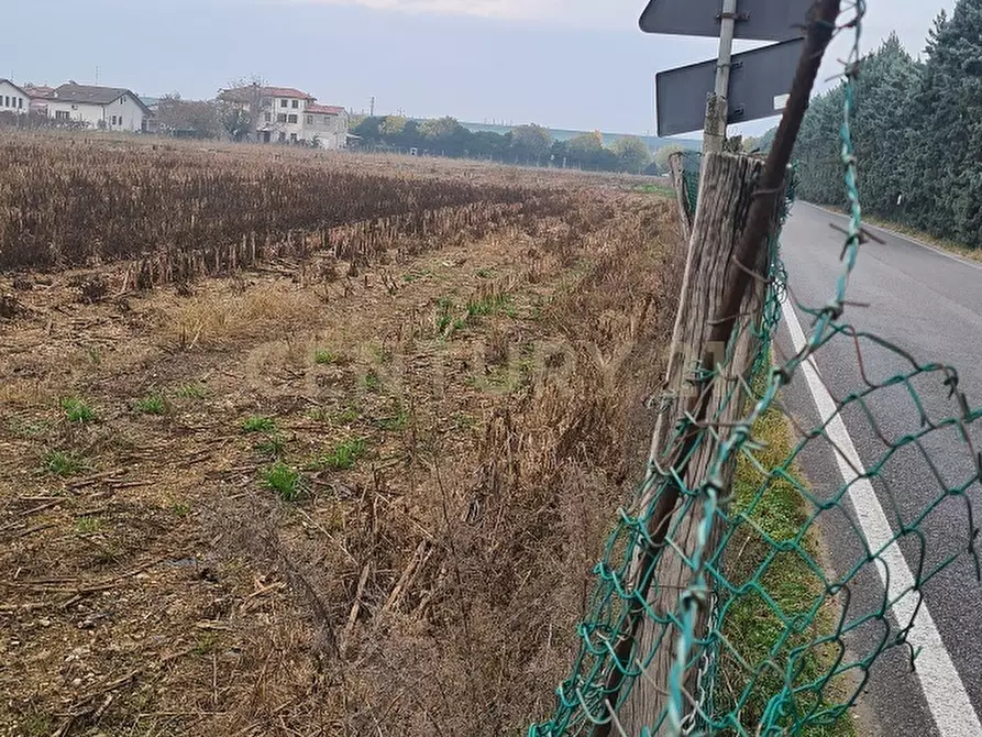 Immagine 10 di Terreno agricolo in vendita  in Via Siberie a Sommacampagna