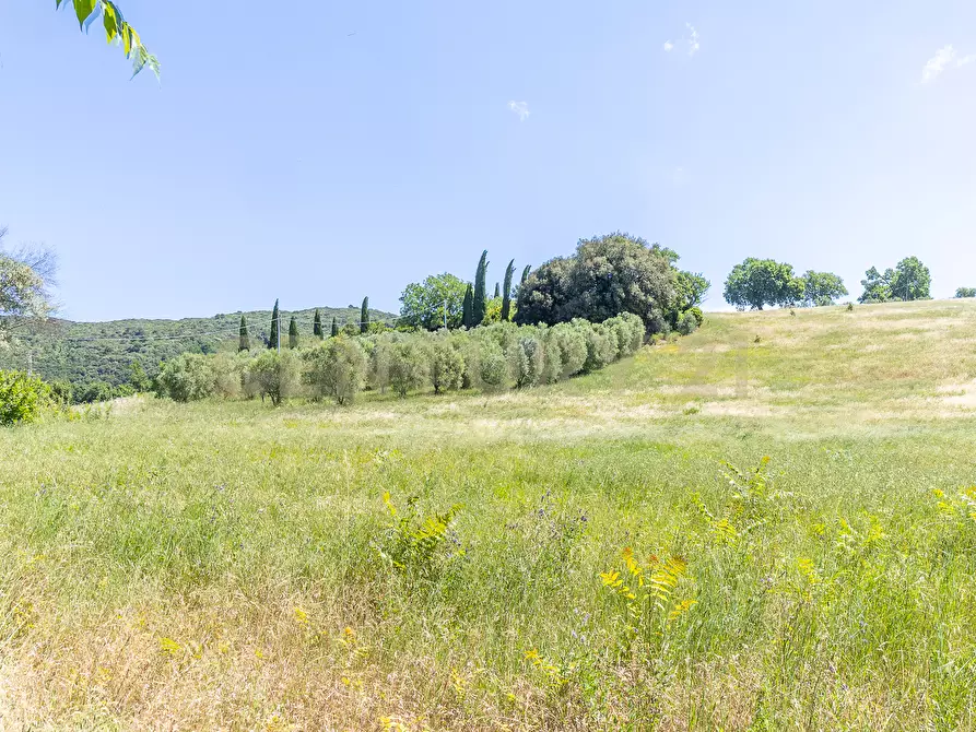 Immagine 36 di Rustico / casale in vendita  in Via Tiberina 384 a Narni