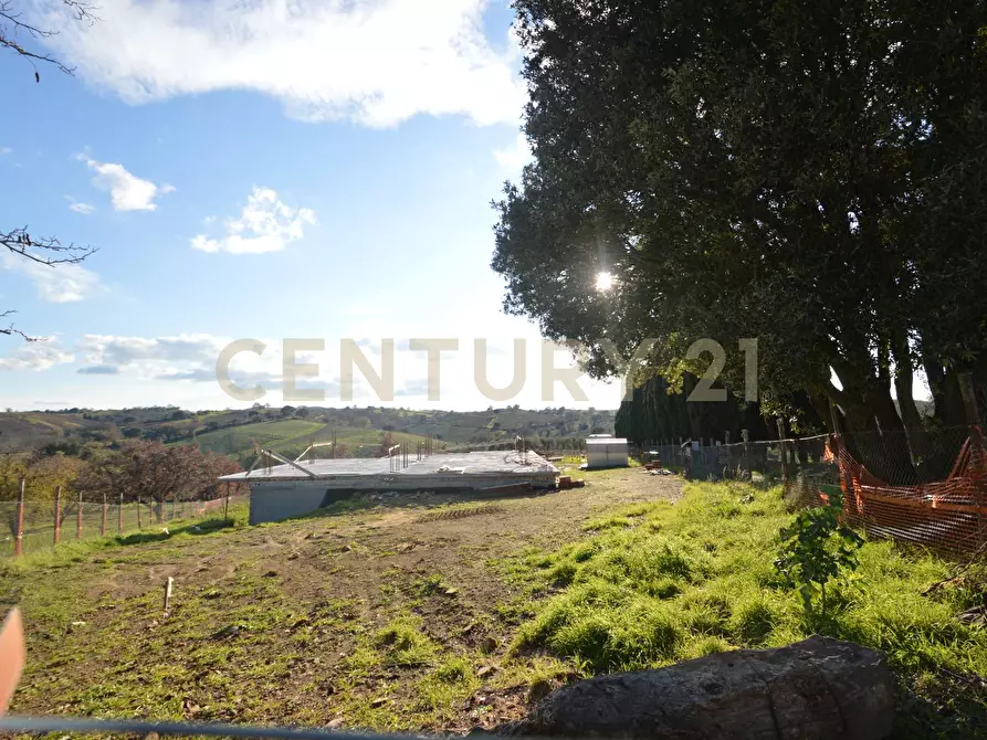 Immagine 27 di Villa in vendita  a Magliano In Toscana
