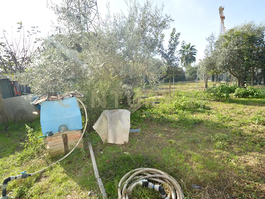 Immagine 8 di Terreno agricolo in vendita  in Via Alberto Sordi 12 a Grosseto