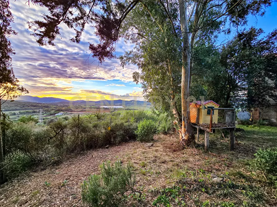 Immagine 18 di Rustico / casale in vendita  in Strada Provinciale Lupo a Gavorrano