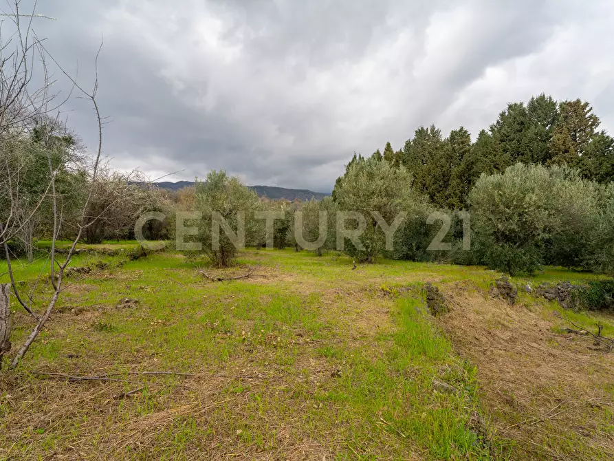 Immagine 46 di Casa indipendente in vendita  in Via Armando Diaz 83 a Zafferana Etnea