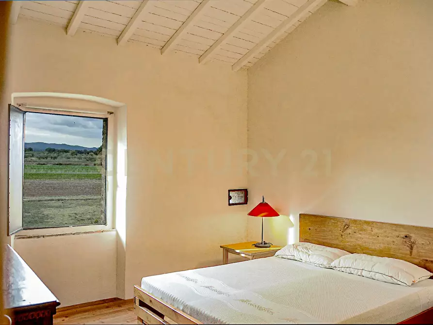 Immagine 22 di Rustico / casale in vendita  in località podere dogana a Roccastrada