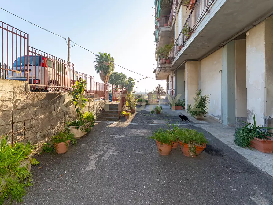 Immagine 4 di Pentalocale in vendita  in Viale Nitta 16b a Catania