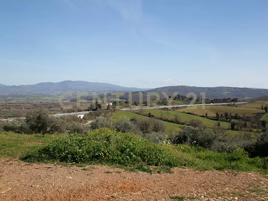 Immagine 1 di Terreno agricolo in vendita  in località santa rosalia snc a Civitella Paganico