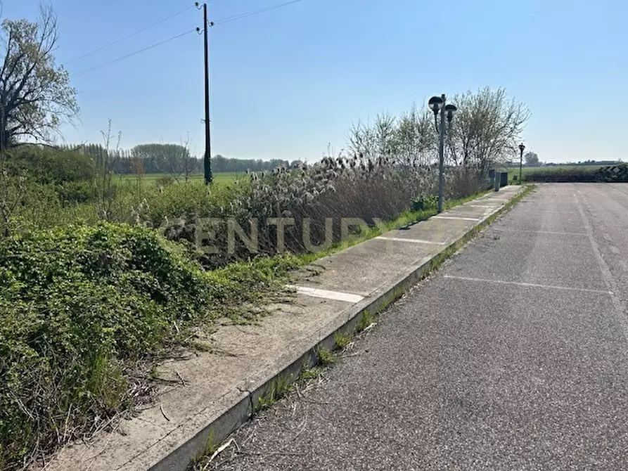 Immagine 7 di Terreno agricolo in vendita  in Via Prato Pelagal 43 a Bovolone
