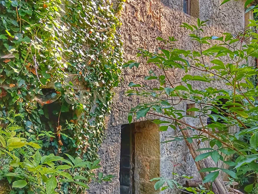 Immagine 4 di Rustico / casale in vendita  in Via dell'Eremo 1 a Castiglione D'orcia