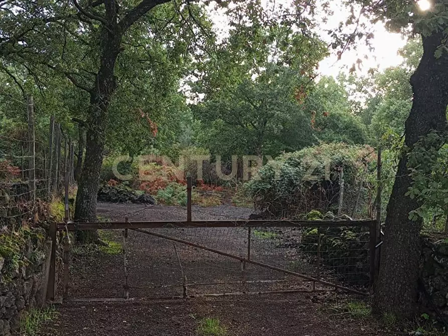 Immagine 8 di Terreno agricolo in vendita  in contrada porcheria SNC a Maletto