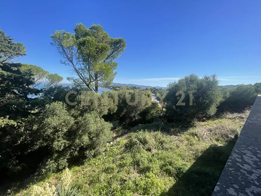 Immagine 10 di Villa in vendita  in località santa liberata a Monte Argentario