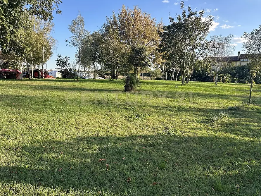 Immagine 60 di Rustico / casale in vendita  in Via Trento 70 a Minerbe