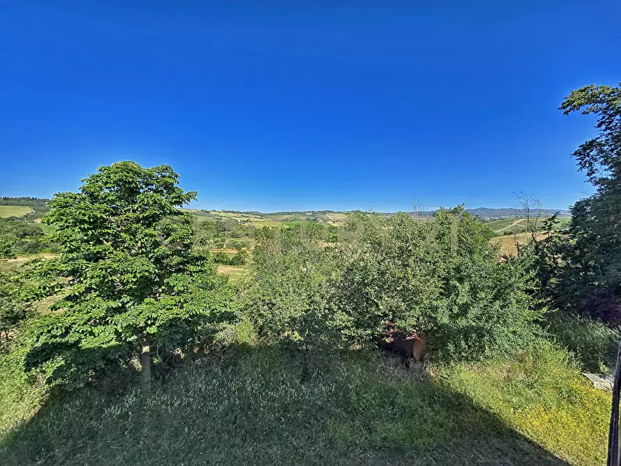 Immagine 26 di Rustico / casale in vendita  in Strada Provinciale Aquilaia a Scansano