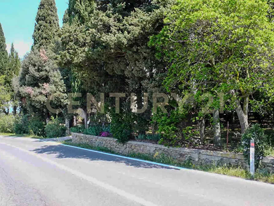 Immagine 17 di Rustico / casale in vendita  in Località Preselle sp 159 a Scansano