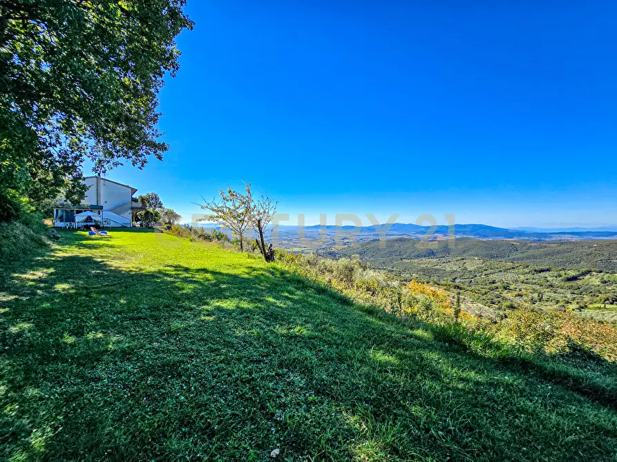 Immagine 22 di Villa in vendita  in località le coste a Roccastrada