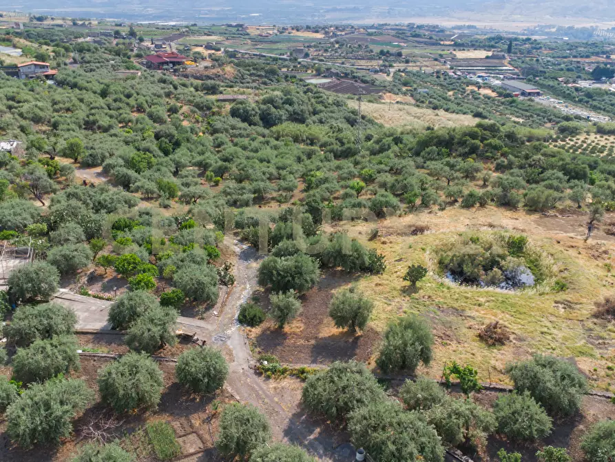 Immagine 14 di Terreno agricolo in vendita  in Via San Leo a Adrano