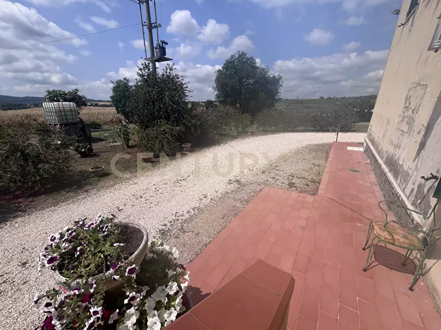 Immagine 20 di Rustico / casale in vendita  in Via Case Sparse a Scansano