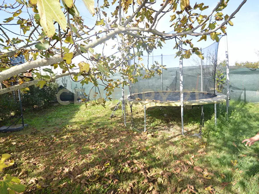 Immagine 28 di Terreno agricolo in vendita  in Via Alberto Sordi 12 a Grosseto