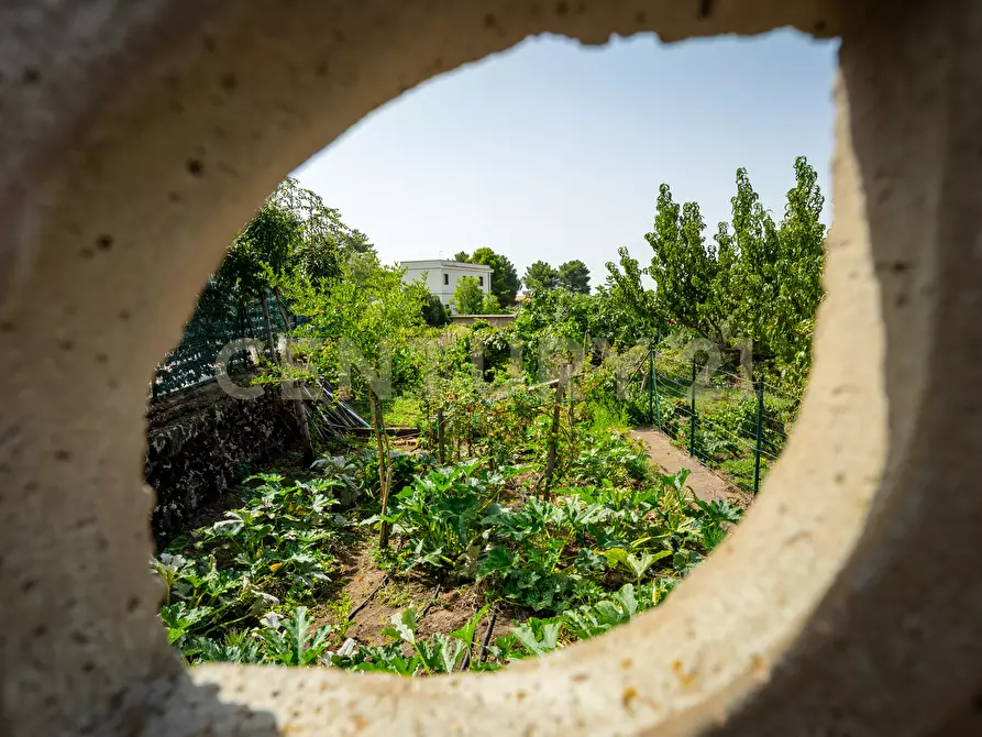 Immagine 33 di Villa in vendita  in Strada Provinciale 158 a Biancavilla