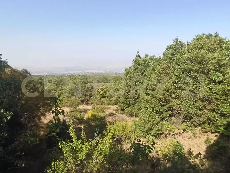 Immagine 19 di Terreno agricolo in vendita  in C.da Filiciusa a Biancavilla