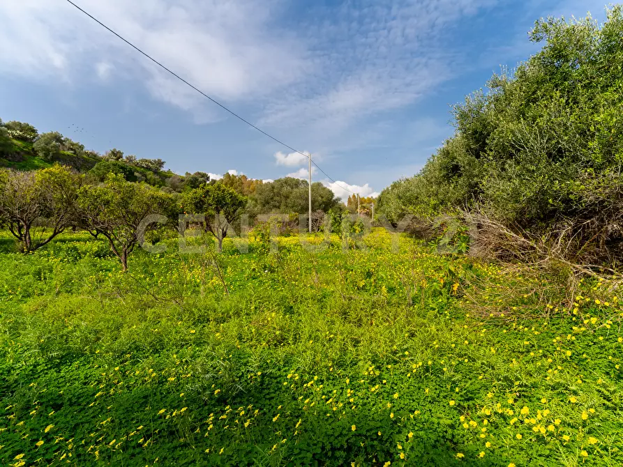Immagine 15 di Terreno agricolo in vendita  in Contrada Vaccarizzo a Catania