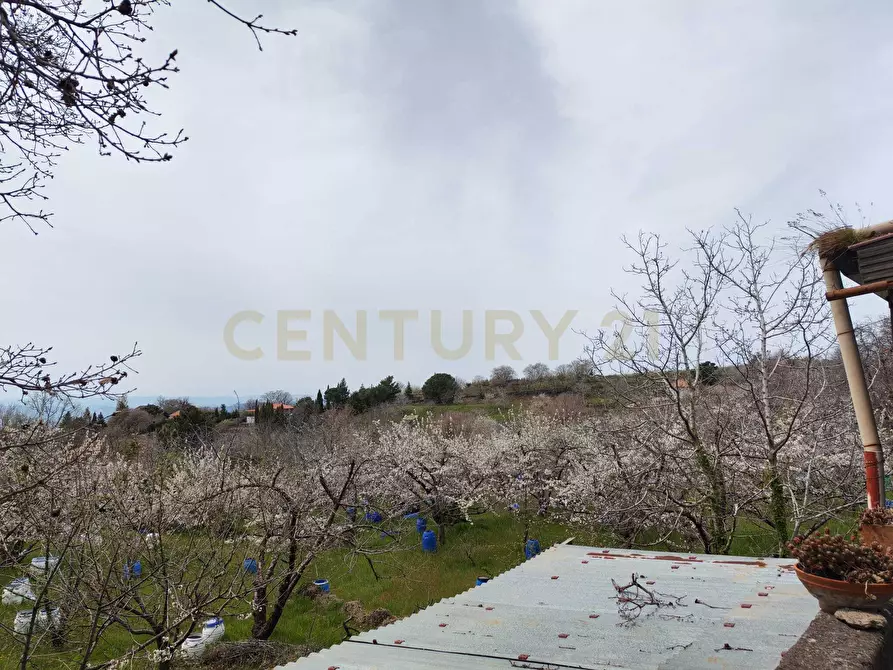 Immagine 3 di Terreno agricolo in vendita  in BIANCAVILLA a Catania