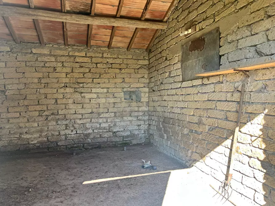 Immagine 4 di Rustico / casale in vendita  in strada vicinale petricci snc a Semproniano