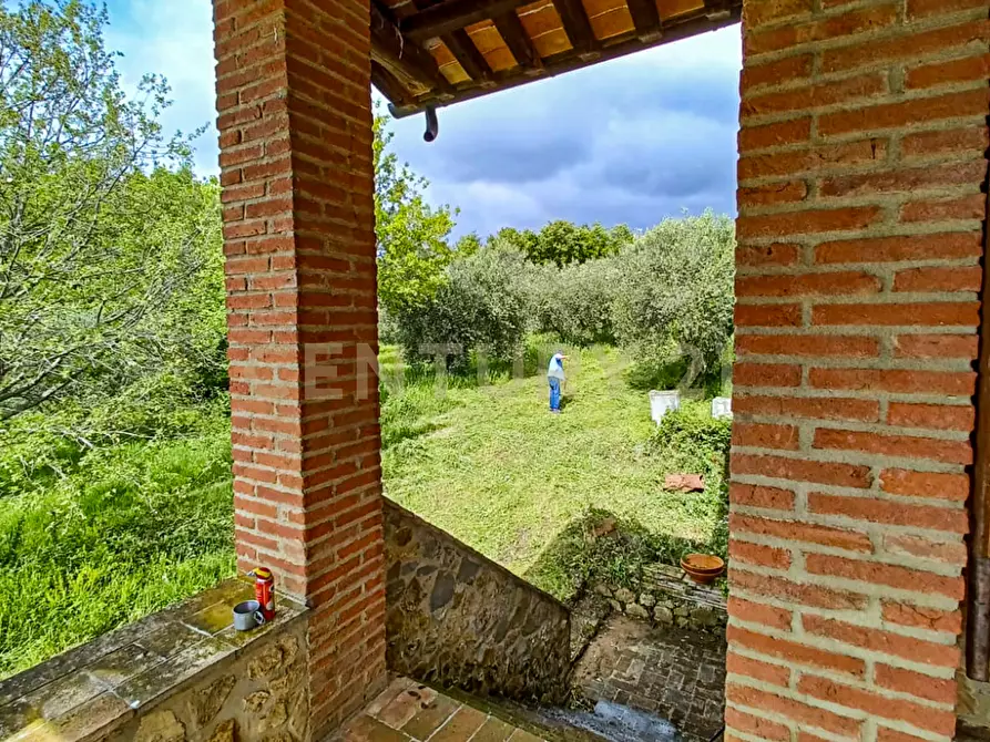 Immagine 3 di Rustico / casale in vendita  in località podere la vena 20 a Civitella Paganico
