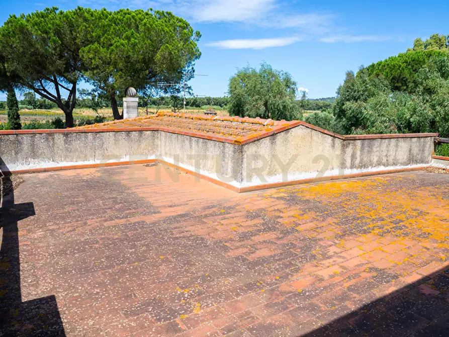 Immagine 39 di Rustico / casale in vendita  in Strada Provinciale San Donato 23 a Orbetello