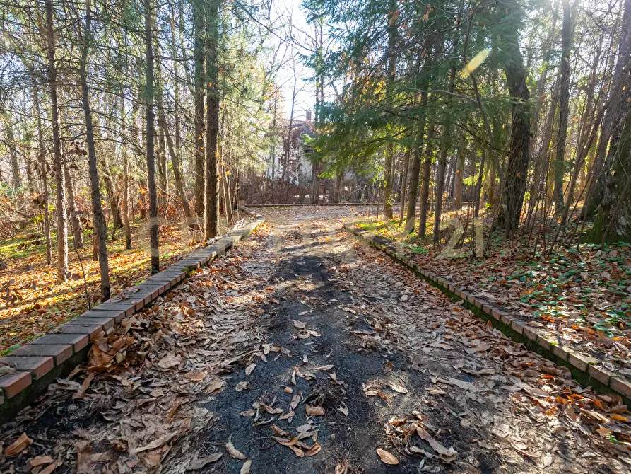 Immagine 42 di Villa in vendita  in Via della Regione 70 a Pedara