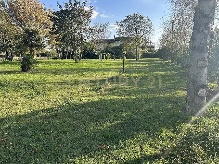 Immagine 52 di Rustico / casale in vendita  in Via Trento 70 a Minerbe