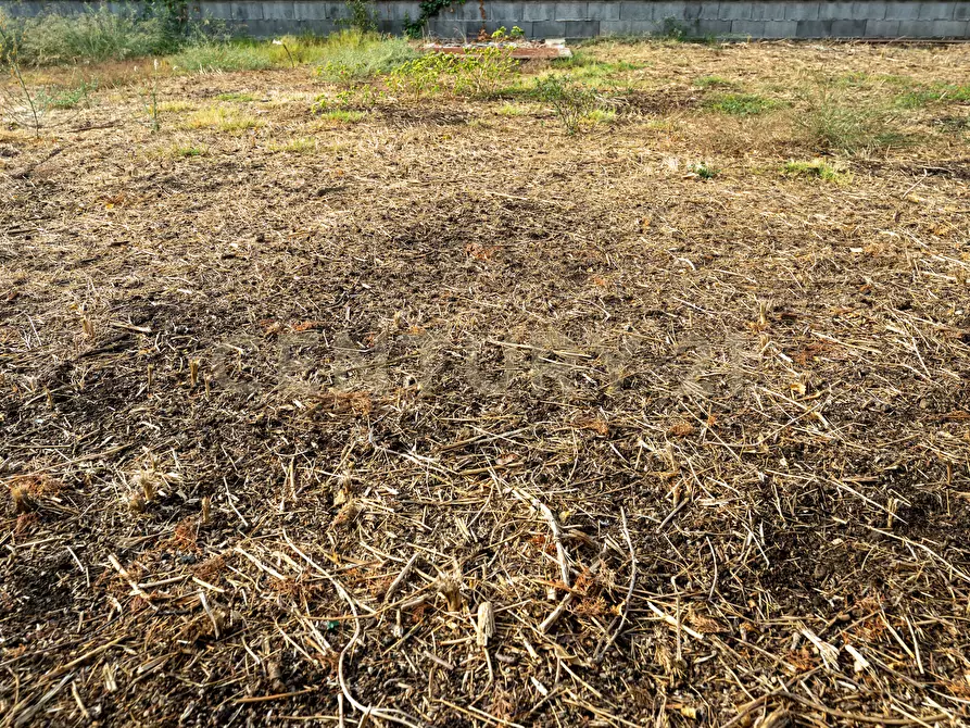 Immagine 20 di Terreno industriale in vendita  in Via Catania 77 a San Gregorio Di Catania