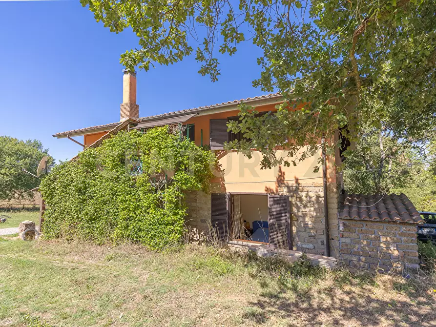 Immagine 7 di Rustico / casale in vendita  in località san quirichello a Barbarano Romano