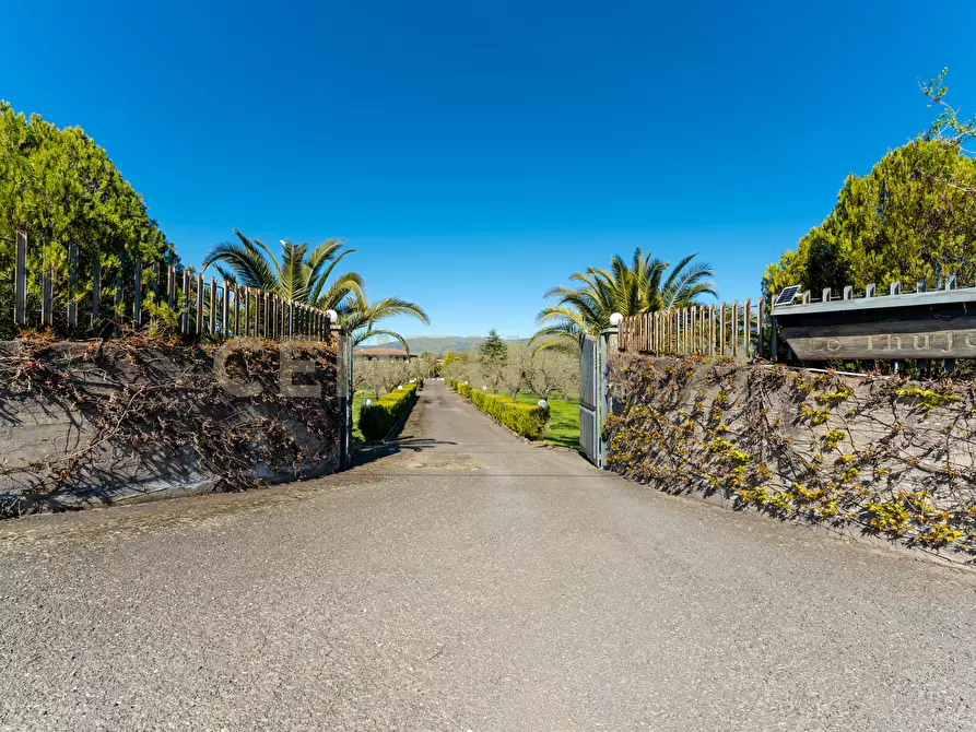 Immagine 2 di Villa in vendita  in Strada Comunale Calderara 5 a Randazzo