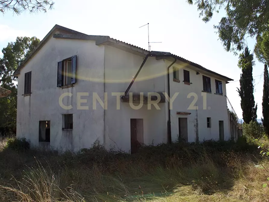 Immagine 36 di Rustico / casale in vendita  in località pian taverna a Cinigiano