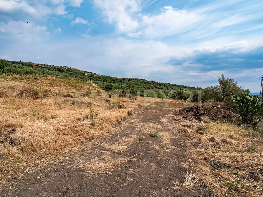 Immagine 40 di Terreno agricolo in vendita  in Via San Leo a Adrano