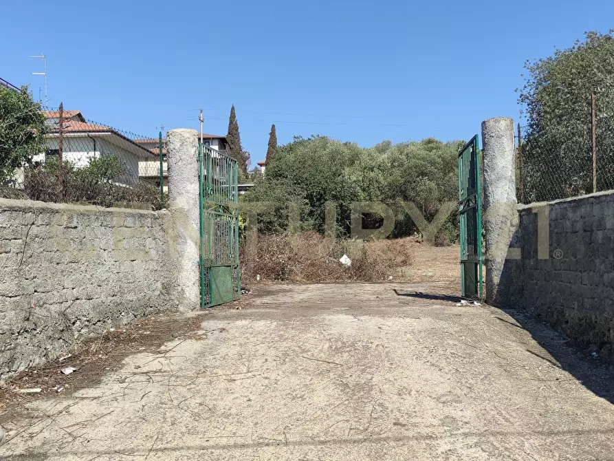 Immagine 3 di Terreno agricolo in vendita  in CONTRADA RACCOMANDATA a Misterbianco