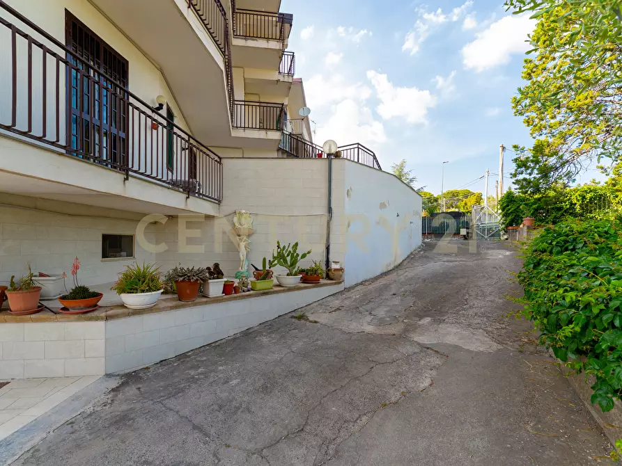 Immagine 30 di Porzione di casa in vendita  in Via del Bosco 251 a Mascalucia