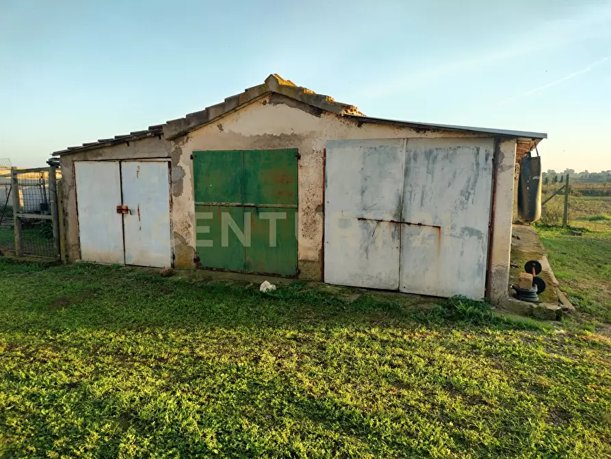 Immagine 15 di Rustico / casale in vendita  in Strada Pedemontana a Capalbio