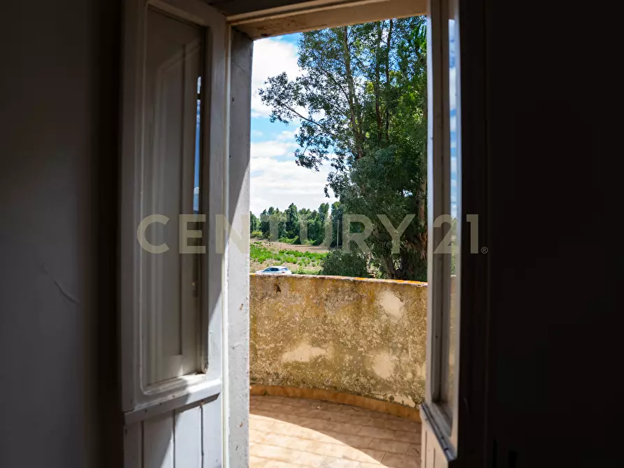 Immagine 32 di Rustico / casale in vendita  in Strada Provinciale San Donato 23 a Orbetello