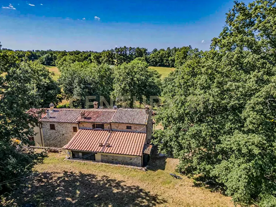 Immagine 42 di Terratetto in vendita  in Località Scovaventi 1 a Semproniano