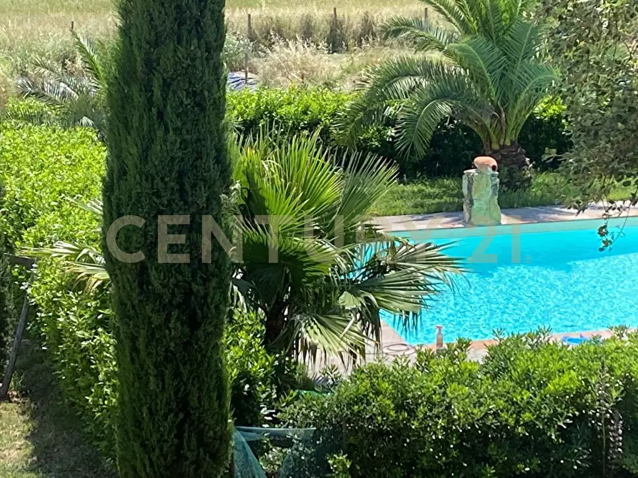 Immagine 34 di Rustico / casale in vendita  a Gavorrano