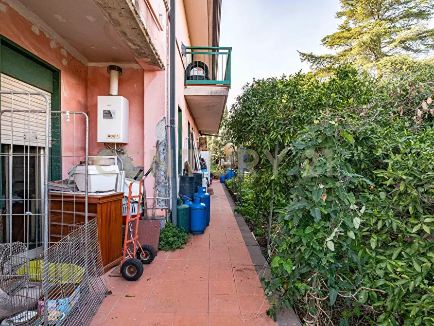 Immagine 13 di Pentalocale in vendita  in Via delle Ginestre s.n.c. a Pedara