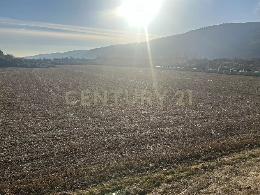 Immagine 10 di Terreno edificabile in vendita  in Via Don Giovanni Calabria 2 a Tregnago