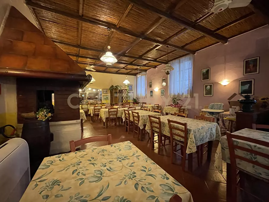 Immagine 9 di Bar / Ristorante in vendita  in Via Baschieri Salvadori a Monte Argentario