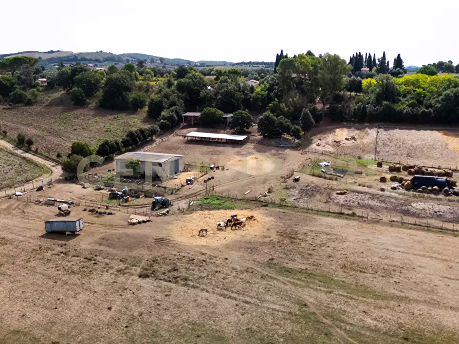 Immagine 12 di Rustico / casale in vendita  in LOCALITA PINZUTI a Manciano